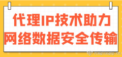 代理IP技术助力网络数据安全传输