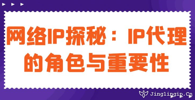 网络IP探秘：IP代理的角色与重要性