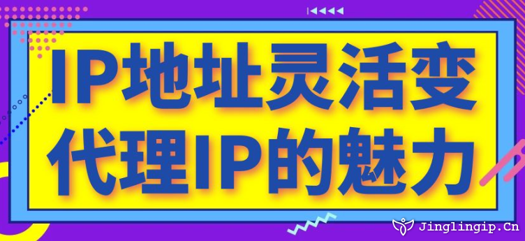 IP地址灵活变：代理IP的魅力