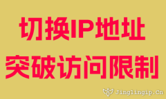 切换IP地址突破访问限制